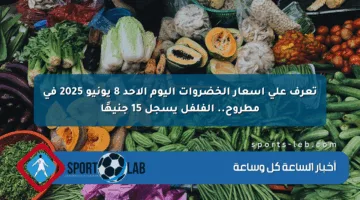 تعرف على أسعار الخضروات اليوم الأحد 8 يونيو 2025 في مطروح.. الفلفل يسجل 15 جنيهًا
